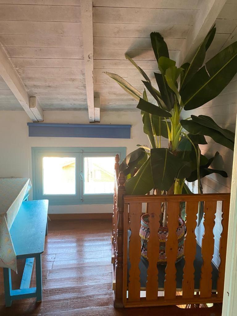 Madera Y Mar Apartment อิสลา ภายนอก รูปภาพ