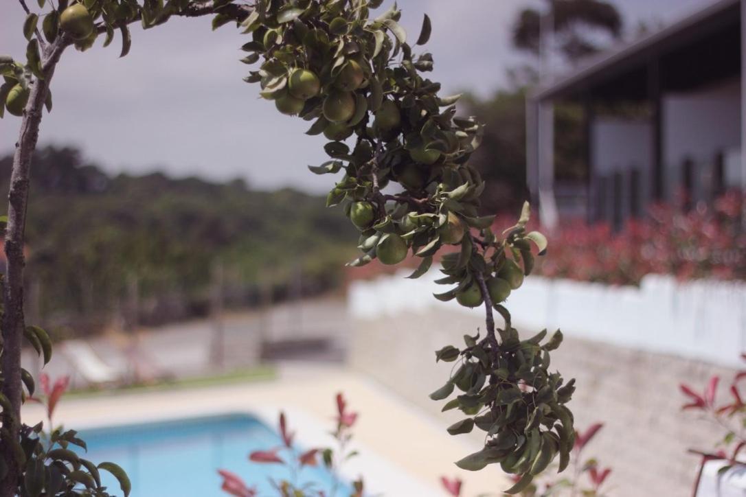 Madera Y Mar Apartment อิสลา ภายนอก รูปภาพ