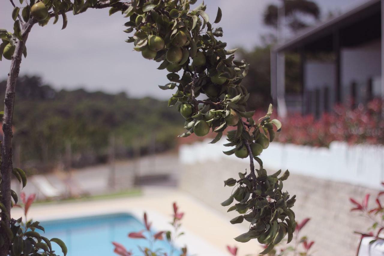 Madera Y Mar Apartment อิสลา ภายนอก รูปภาพ